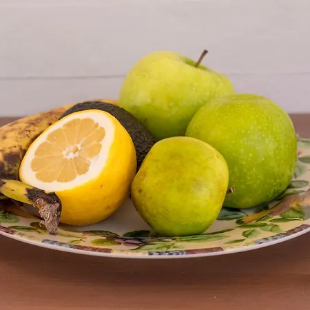 Parrot Palazzo アパート