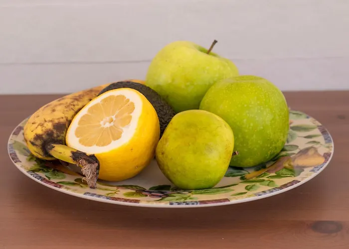 Parrot Palazzo Appartement