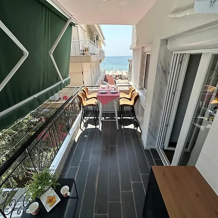 Parrot Palazzo Daire *