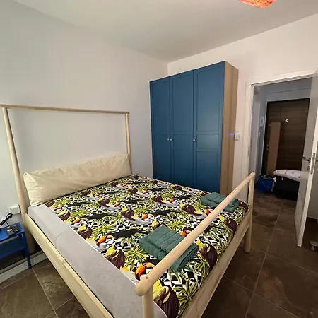 Parrot Palazzo Daire Nea Kallikrateia