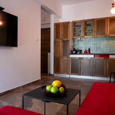 Parrot Palazzo * Nea Kallikrateia